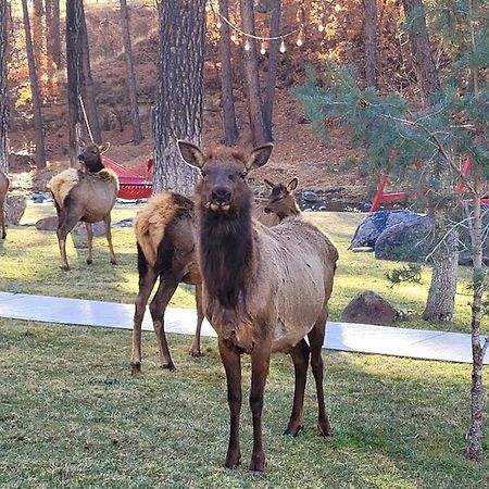 Sierra Blanca Cabins Hotel Ruidoso Luaran gambar