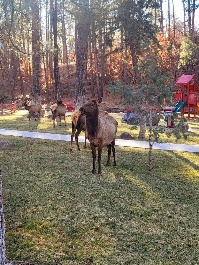 Sierra Blanca Cabins Hotel Ruidoso Luaran gambar